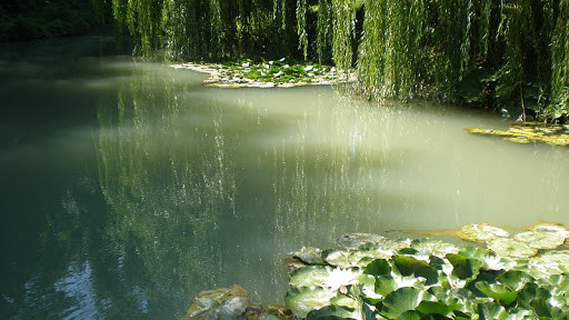 Окръжен съд - Варна отмени извършен въвод във владение в Ботаническа градина – Варна